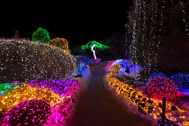 istock X-MAS decoration in botanical garden 530664053