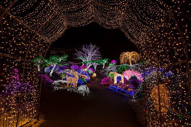 istock X-MAS decoration in botanical garden 530664055