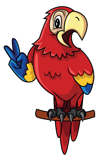 parrot vector illustration of parrot richie mccaw stock illustrations