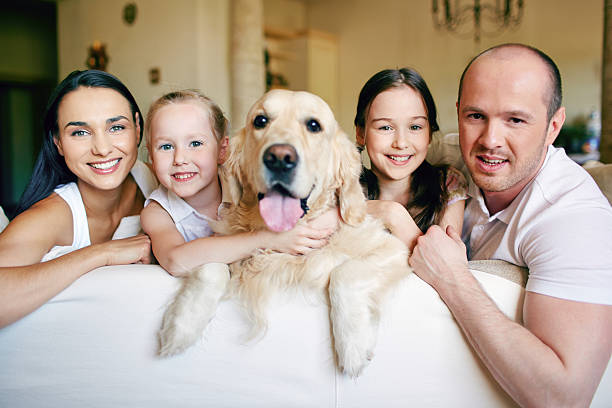 istock Family and pet 530670763