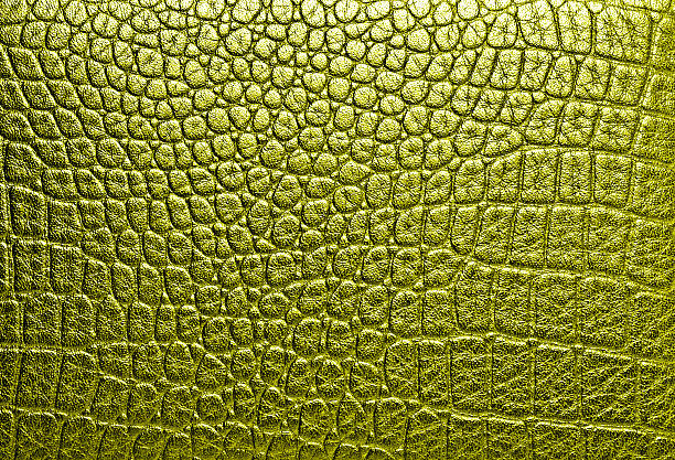 istock Crocodile golden leather, can use as background 530671403