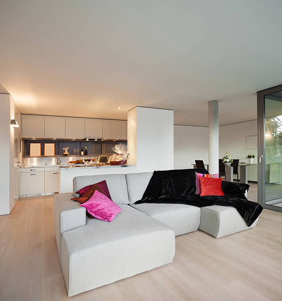 istock Furnished apartment, living room view 530692035
