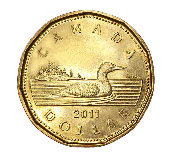 kanadischer dollar-stück - canadian currency stock-fotos und bilder