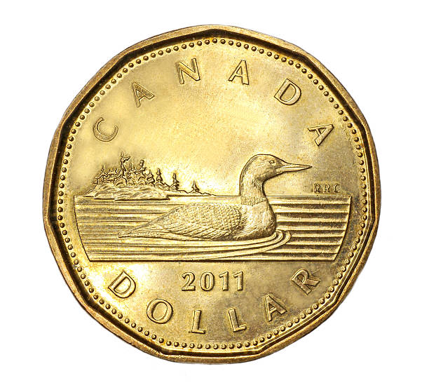 Canadian dollar coin Ottawa, Canada - January 1, 2015:  A  Canadian one dollar coin, depicting a loon, popularly known as a "loonie." canadian currency photos stock pictures, royalty-free photos & images