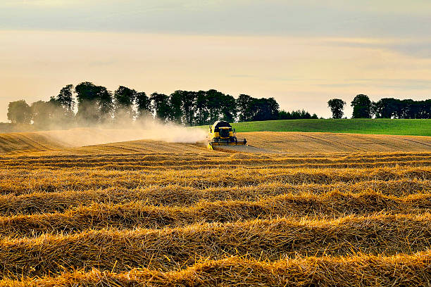 istock Countryside view of cultivated fields 530692929
