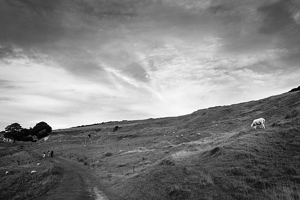 istock On the side of a hillside, England 530693925