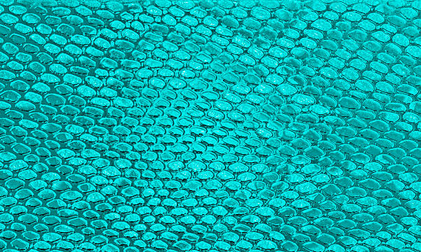 istock Blue snakeskin texture, can use as background 530694421