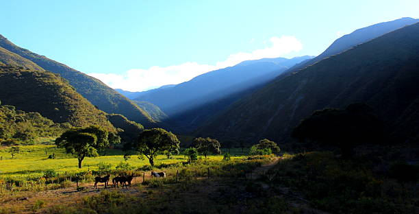 istock Valleys of Salta 530694987