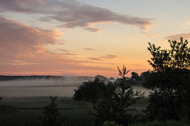 istock morning fog 530695673