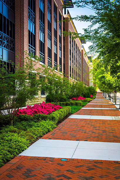 istock Colorful trees and bushes along a sidewalk in downtown Richmond, 530703193