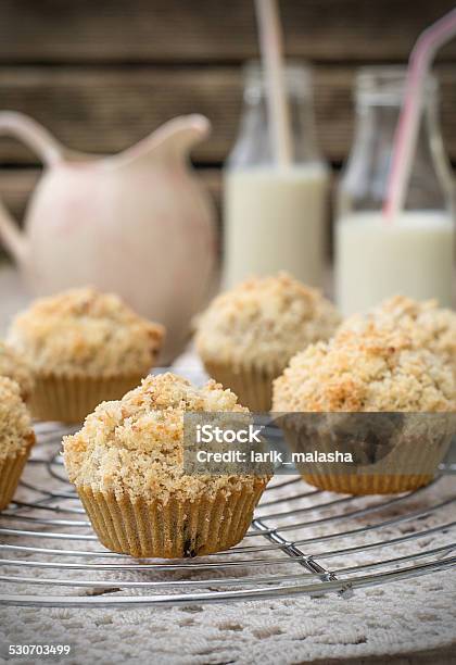 Chocolate Chip Muffins With Coconut Streusel Stock Photo - Download Image Now - Baked, Baked Pastry Item, Brown