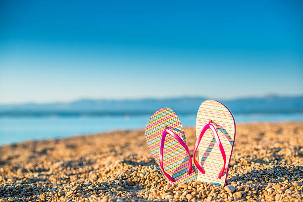 istock Flip flop at the seaside 530705893