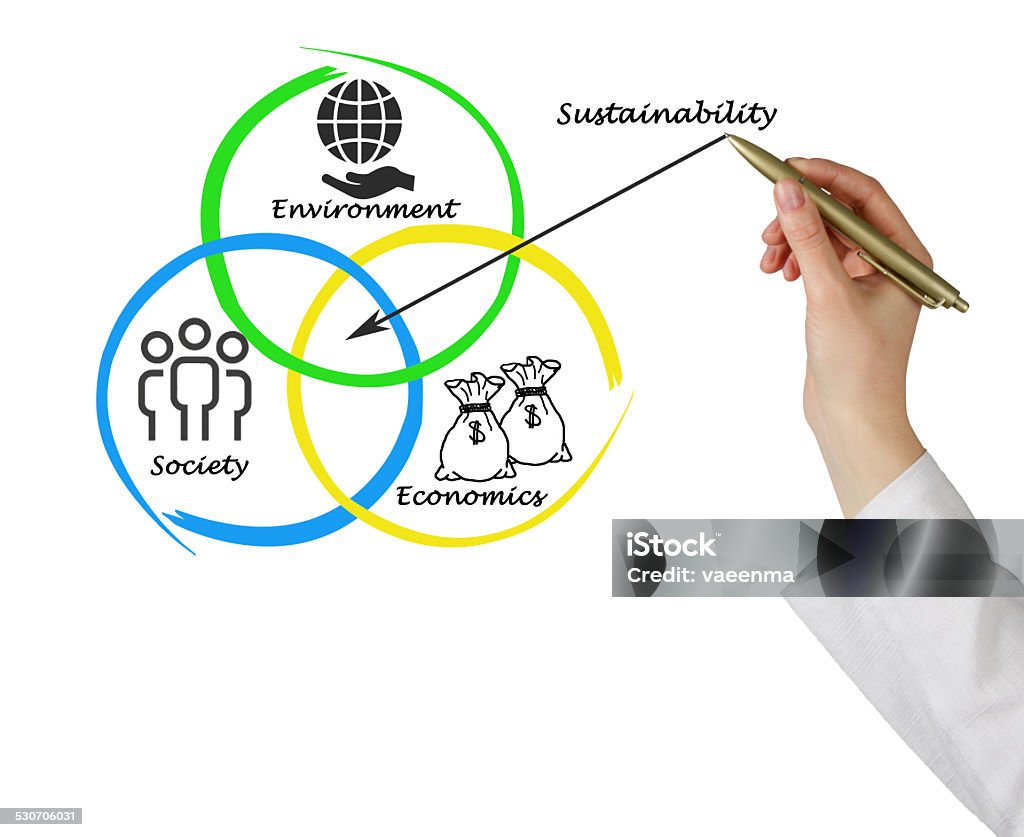 Presentation of diagram of sustainability Adult Stock Photo