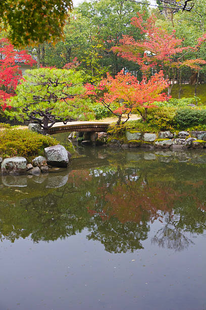 istock Japanese autumn garden 530706859