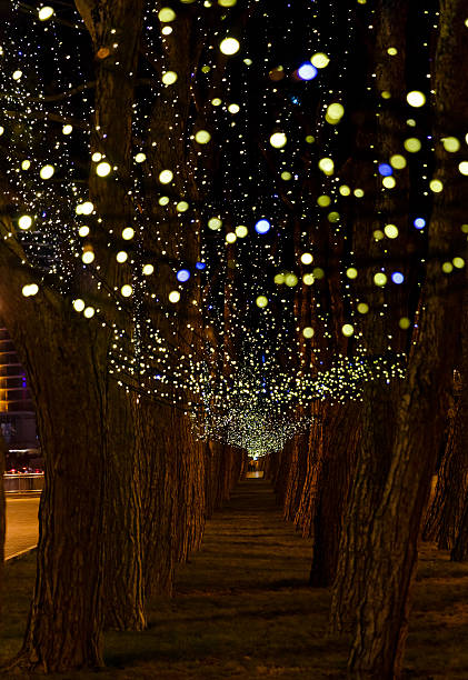 istock Christmas garland on trees 530706951