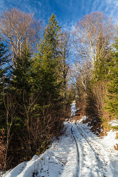 istock Winter snow covered mountain peaks in Europe. 530707703