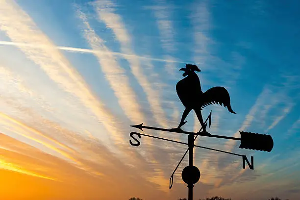 Weather vane is instrument showing direction of wind - typically used as an architectural ornament to the highest point of a building