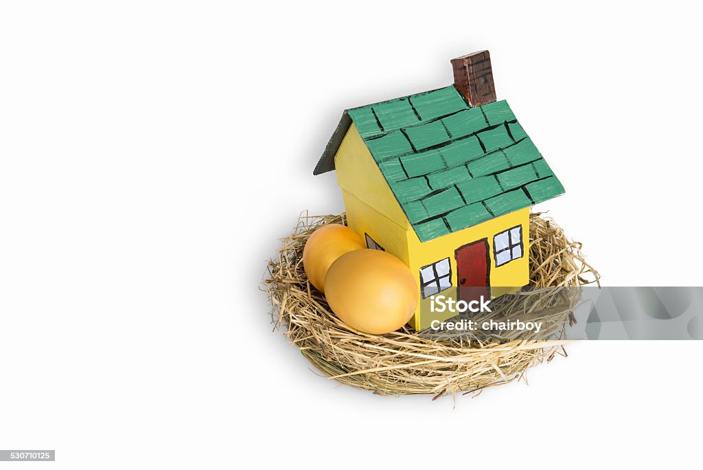 Bird's Nest with Two Golden Eggs and a Miniature House Photograph of a bird's nest with a miniature home and two golden eggs in the nest, illustrating the concept of real estate investment as part of a retirement plan. Bird's Nest Stock Photo