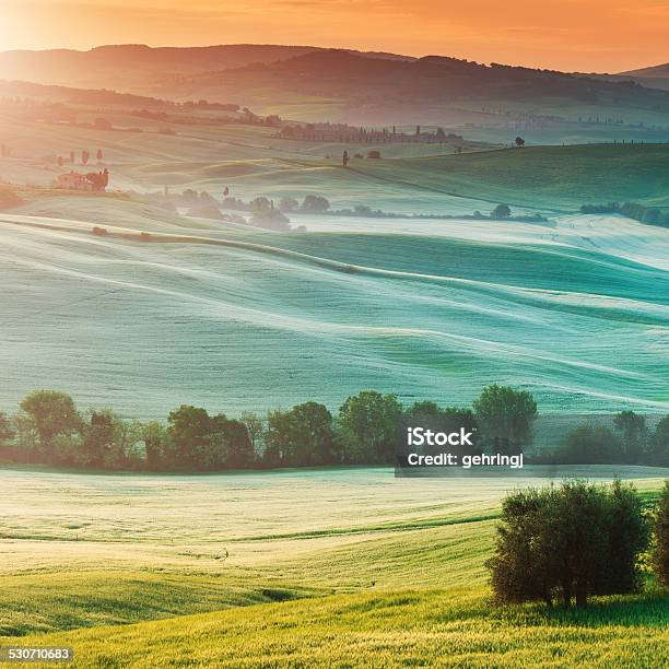 Typical Landscape From Tuscany Stock Photo - Download Image Now - 2015, Agricultural Building, Agricultural Field