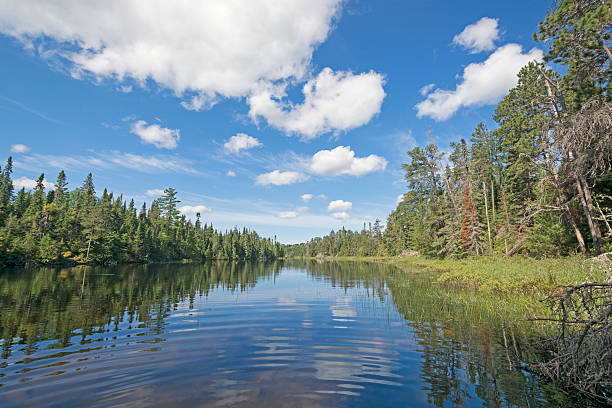 istock Sheltered Cove in the North Woods 530714019