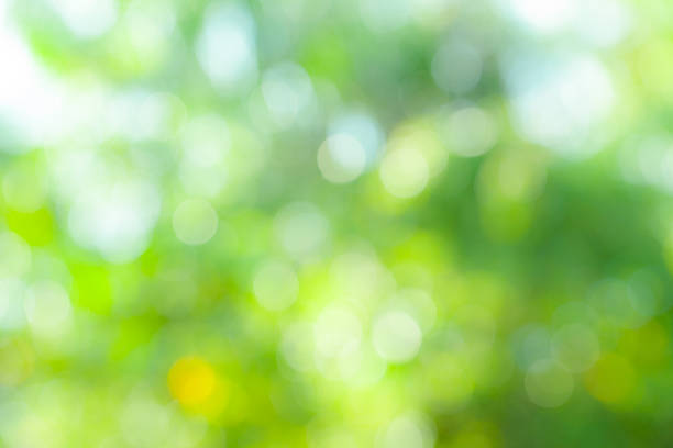 istock The Abstract Natural Bokeh,blurred bokeh. 530714483