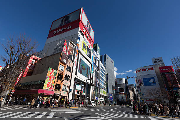 istock Shinjuku Cityscape in Tokyo, Japan 530714921