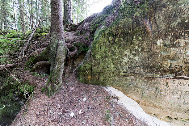 istock ancient sandstone cliffs in the Gaujas National Park, Latvia 530716301