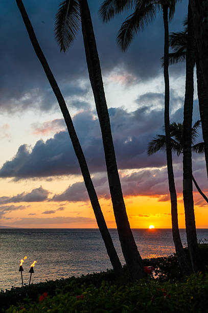 istock Two lit torches at sunset on a beach in Hawaii 530716837
