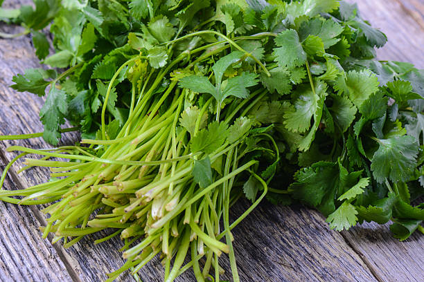 istock Cilantro on Wooden Background 530718035