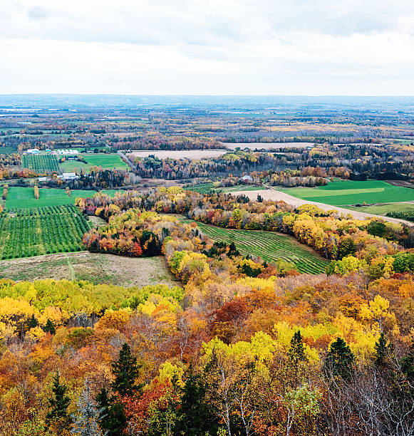 Autumn in Ontario is quite beautiful. This is a lookout point in Minden Ontario. Many beautiful vistas.