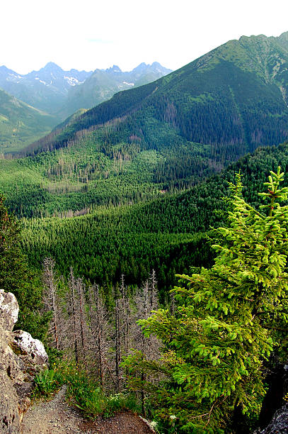 istock Beautiful mountain landscape with views of the deep valley 530720449