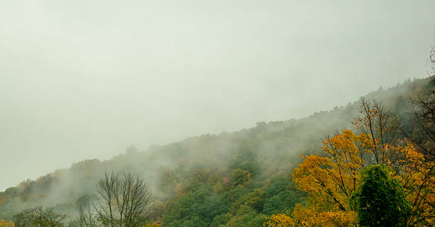 istock Clouds settle over the autumn foliage in Vermont 530720549