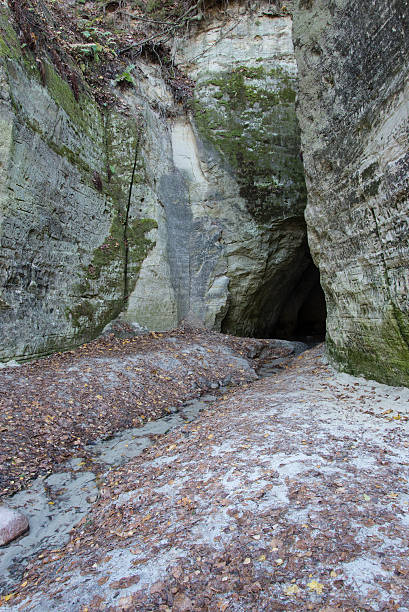 istock ancient sandstone cliffs in the Gaujas National Park, Latvia 530727107
