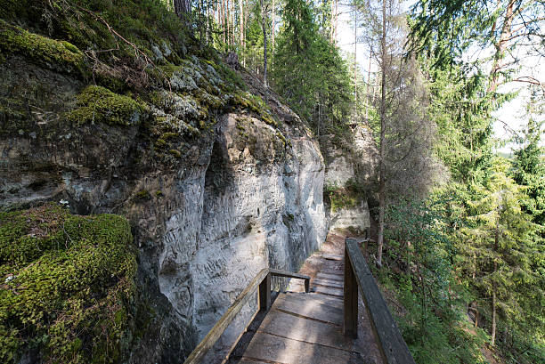 istock ancient sandstone cliffs in the Gaujas National Park, Latvia 530728837