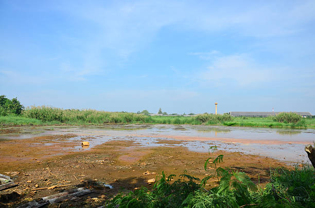 istock Effects Environmental from Chemicals and heavy metals in soil 530731283