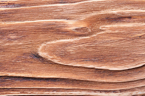 istock beautiful brown wood texture close up 530731497