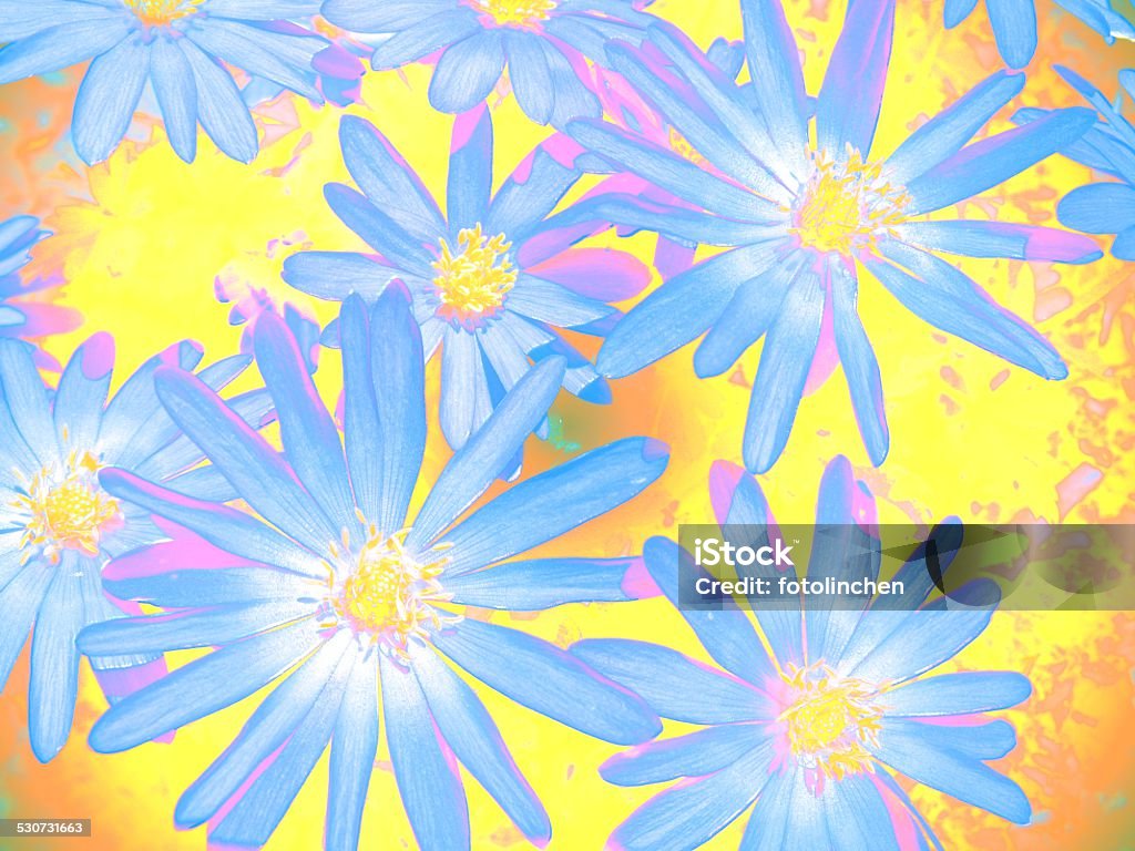 Abstrakte Blumen Hintergrund - Lizenzfrei 2015 Stock-Foto