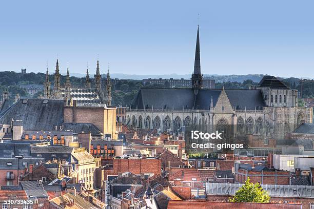 Leuven With Saint Peters Church And City Hall Stock Photo - Download Image Now - Leuven, Belgium, Architecture