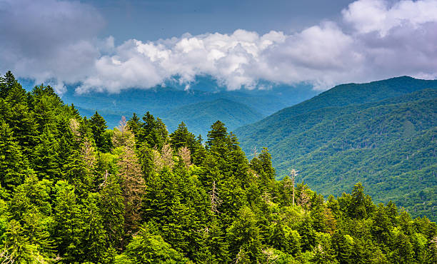 istock Dramatic view of the Appalachian Mountains from Newfound Gap Roa 530734711