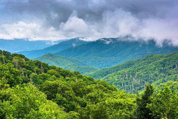 istock Dramatic view of the Appalachian Mountains from Newfound Gap Roa 530734713