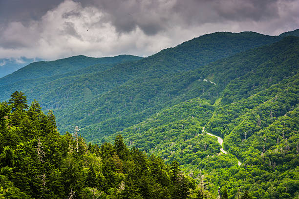 Dramatic view of the Appalachian Mountains from Newfound Gap Roa Dramatic view of the Appalachian Mountains from Newfound Gap Road, at Great Smoky Mountains National Park, Tennessee. newfound gap stock pictures, royalty-free photos & images
