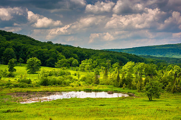 istock Small pond at Canaan Valley State Park, West Virginia. 530739563