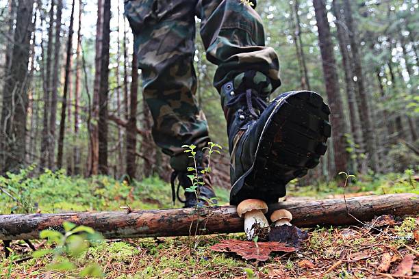 istock feet in shoes autumn forest hike 530740635