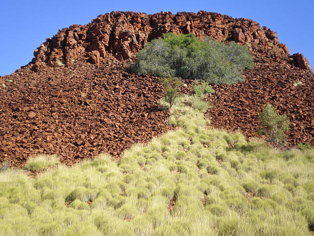 istock Millstream Chichester National Park in Western Australia 530741409