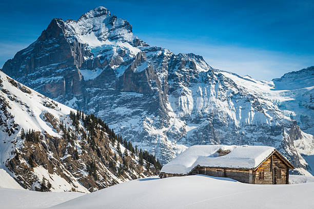 Snowy mountain peaks above traditional wooden chalet Alps Switzerland Traditional wooden cabin covered in deep snow high in the idyllic winter mountain wilderness of the Alps, Switzerland. ProPhoto RGB profile for maximum color fidelity and gamut. grindelwald photos stock pictures, royalty-free photos & images