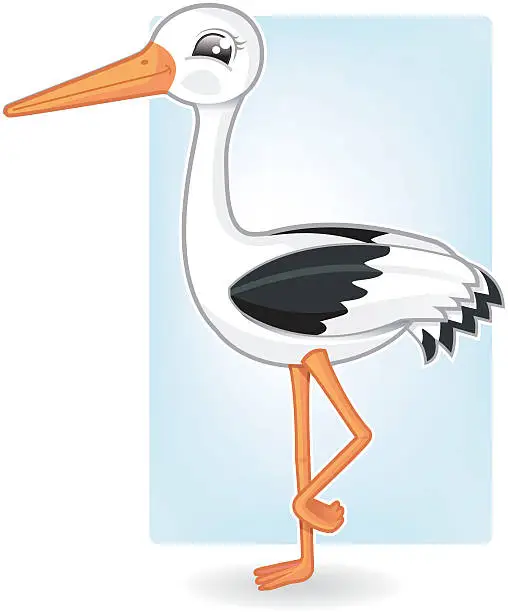 Vector illustration of white stork