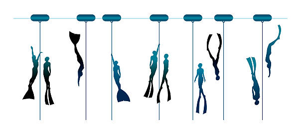 ilustrações, clipart, desenhos animados e ícones de série de mergulhadores grátis. silhueta de casal freedivers. - boia equipamento de desporto aquático