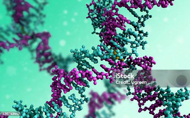 の Dna 分子 - たんぱく質のストックフォトや画像を多数ご用意 - たんぱく質, 科学, 3D