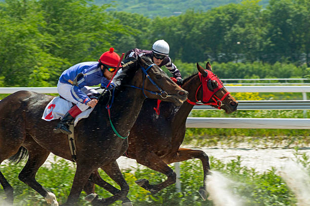 istock Horse racing in Pyatigorsk. 530743848
