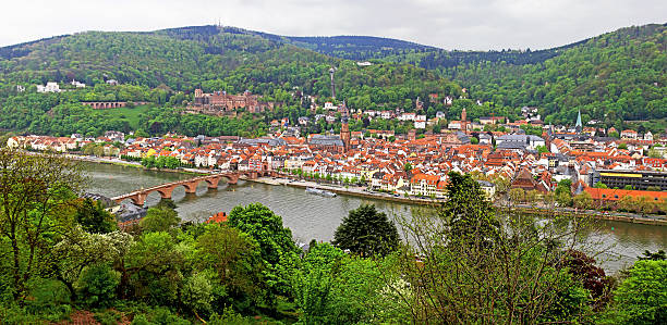 istock Panoramic view of Heildelberg, Germany 530744059